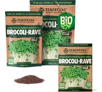 ZenGreens® - Graines de brocoli bio - Choisissez entre 10g, 200g et 500g - Graines de brocoli avec un taux de germination supérieur à 97% - Microgreens
