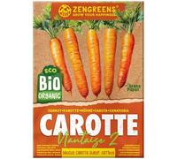 ZenGreens® - Graines de carotte bio - Semences potagères - Graines de légumes pour une culture facile au jardin, sur le balcon ou dans un potager surélevé - Nantes 2