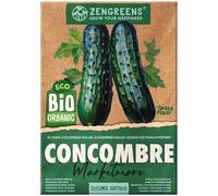 ZenGreens® - Graines de concombre bio - Semences potagères - Graines de légumes pour une culture facile au jardin, sur le balcon ou dans un potager surélevé - Marketmore