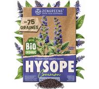 ZenGreens® - Graines de Hysope bio - Graines d'herbes aromatiques pour une culture facile au jardin, sur le balcon ou en cuisine - Hysope Officinale