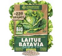 ZenGreens® - Graines de Laitue Batavia bio (Blonde de Paris) - Graines potagères pour une culture facile au jardin, sur le balcon ou en carré potager - Laitue Pommée
