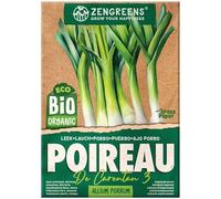 ZenGreens® - Graines de poireau bio - Semences potagères - Graines de légumes pour une culture facile au jardin, sur le balcon ou dans un potager surélevé - Carentan 3