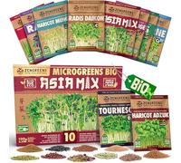ZenGreens® - Graines germées bio en Kit de Asia-Mix - Graines germées - 10 variétés de graines germées asiatiques - culture facile en pot ou en terrine - Micrgreens Samen Mix - Lot de 10