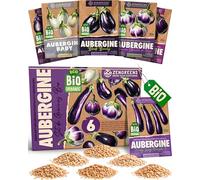 ZenGreens® - Kit de graines de aubergine bio - 6 variétés pour une culture facile dans le jardin, sur le balcon ou dans une jardinière surélevée - Semences légumes