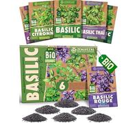 ZenGreens® - Kit de graines de basilic bio - 6 variétés pour une culture facile dans le jardin, sur le balcon ou dans une jardinière surélevée - Semences légumes