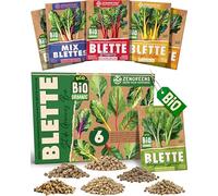 ZenGreens® - Kit de graines de blette bio - 6 variétés pour une culture facile dans le jardin, sur le balcon ou dans une jardinière surélevée - Semences légumes