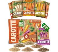 ZenGreens® - Kit de graines de carotte bio - 6 variétés pour une culture facile dans le jardin, sur le balcon ou dans une jardinière surélevée - Semences légumes