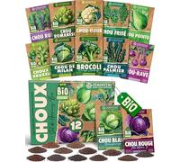 ZenGreens® - Kit de graines de choux bio - 12 variétés pour une culture facile dans le jardin, sur le balcon ou dans une jardinière surélevée - Semences légumes
