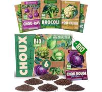 ZenGreens® - Kit de graines de choux bio - 6 variétés pour une culture facile dans le jardin, sur le balcon ou dans une jardinière surélevée - Semences légumes