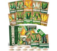 ZenGreens® - Kit de graines de concombre bio - 12 variétés pour une culture facile dans le jardin, sur le balcon ou dans une jardinière surélevée - Semences légumes