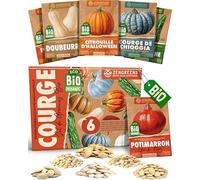 ZenGreens® - Kit de graines de courge bio - 6 variétés pour une culture facile dans le jardin, sur le balcon ou dans une jardinière surélevée - Semences légumes