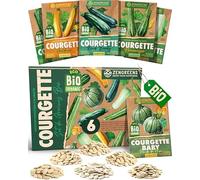 ZenGreens® - Kit de graines de courgette bio - 6 variétés pour une culture facile dans le jardin, sur le balcon ou dans une jardinière surélevée - Semences légumes