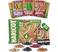 ZenGreens® - Kit de graines de haricot bio - 6 variétés pour une culture facile dans le jardin, sur le balcon ou dans une jardinière surélevée - Semences légumes
