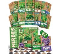 ZenGreens® - Kit de graines de herbes aromatiques bio - 25 variétés pour une culture facile dans le jardin, sur le balcon ou dans une jardinière surélevée - Semences légumes