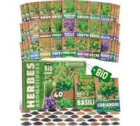 ZenGreens® - Kit de graines de herbes aromatiques bio - 40 variétés pour une culture facile dans le jardin, sur le balcon ou dans une jardinière surélevée - Semences légumes
