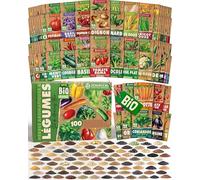 ZenGreens® - Kit de graines de herbes aromatiques & légumes bio - 100 variétés pour une culture facile dans le jardin, sur le balcon ou dans une jardinière surélevée - Semences légumes