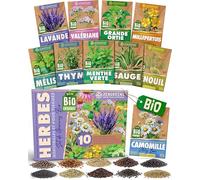 ZenGreens® - Kit de graines de herbes médicinales et pour tisanes bio - 10 variétés pour une culture facile dans le jardin, sur le balcon ou dans une jardinière surélevée - Semences légumes