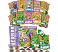 ZenGreens® - Kit de graines de herbes médicinales et pour tisanes bio - 20 variétés pour une culture facile dans le jardin, sur le balcon ou dans une jardinière surélevée - Semences légumes
