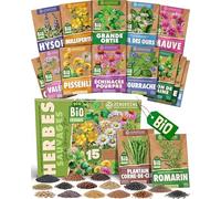 ZenGreens® - Kit de graines de herbes sauvages bio - 15 variétés pour une culture facile dans le jardin, sur le balcon ou dans une jardinière surélevée - Semences légumes