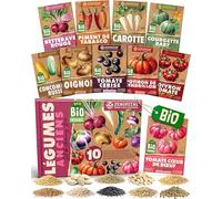 ZenGreens® - Kit de graines de légumes anciens bio - 10 variétés pour une culture facile dans le jardin, sur le balcon ou dans une jardinière surélevée - Semences légumes