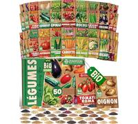 ZenGreens® - Kit de graines de légumes bio - 50 variétés pour une culture facile dans le jardin, sur le balcon ou dans une jardinière surélevée - Semences légumes