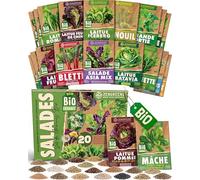 ZenGreens® - Kit de graines de légumes-feuilles bio - 20 variétés pour une culture facile dans le jardin, sur le balcon ou dans une jardinière surélevée - Semences légumes