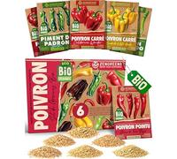ZenGreens® - Kit de graines de poivron bio - 6 variétés pour une culture facile dans le jardin, sur le balcon ou dans une jardinière surélevée - Semences légumes