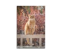 ZENGYL Affiches d'animaux esthétiques pour chambre à coucher, motif chats roux So Friendly - Poster décoratif sur toile - Impression d'art moderne pour chambre à coucher - 30 x 45 cm