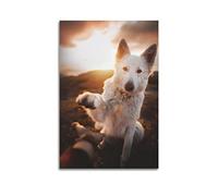 ZENGYL Posters d'animaux esthétiques pour chambre à coucher, berger suisse blanc, poster décoratif sur toile, affiches murales et image d'art moderne pour chambre à coucher (20 x 30 cm)