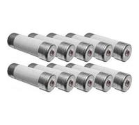 Zenitech - 30 fusibles céramique 8,5x 31,5 20A à voyant NF G