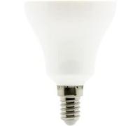 Zenitech - Ampoule LED Standard 10W E14 810lm 2700K G