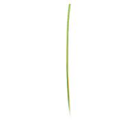 Zenitech - Gaine Thermo rétractable Ø3,2mm - 1m - Vert et Jaune