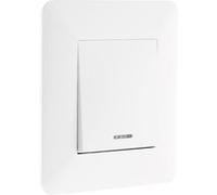 Zenitech - Interrupteur va et vient à voyant 10A - Blanc Neutre G