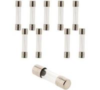 Zenitech - Lot de 30 fusibles en verre 6,3x32 1A G