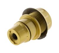 Zenitech - Noname 140714 Douille E14 Thermoplastique avec Bague Simple - Finition Lisse Effet Or - Doré - Tension Maximum 250V - Intensité Maximum 2A - Idéal pour Éclairage Intérieur
