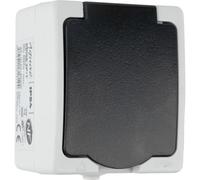 Zenitech, Prise 16A 2P+T IP54 Gris Aquae, Étanche pour Extérieur, Sécurité Enfant, Raccordement Rapide, Puissance 3680W-250V, Certifié NF, Idéale pour Murs et Façades, Installation Facile