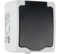 Prise en saillie 16A 2P+T IP54 - Aquae - Zenitech