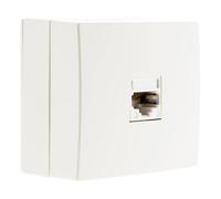 Zenitech Prise RJ11 en saillie IP20 - Blanc