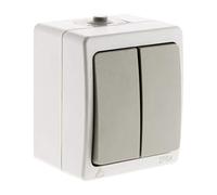 Zenitech - Va-et-vient Double IP54 - Gris Clair - Installation Saillie Extérieure, Mécanisme Désolidarisable, Câblage Simplifié Borne Automatique, Matériau Isolant - Embouts 8-20mm