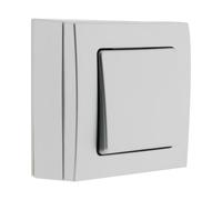 Zenitech - Va & Vient 10A Saillie - Borne Auto - Appareillage Sans Vis, Installation Trous Oblongs - Compatible Moulures Standards, Normes NF/CE - Mécanisme Désolidarisable - Gris