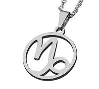 ZENSE - Collier zodiaque pour homme, diamètre 2 cm, avec chaîne, ZP0243, Capricorne