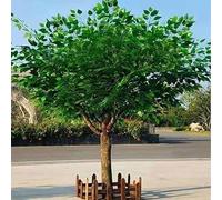 ZenSeFarin Arbre Artificiel de Banian Vert | Arbre à Souhaits Artificiel Banian | Similitude Réaliste | Décoration Intérieure/Extérieure pour Maisons,Jardins & Hôtels,Round-1x0.6m/3.2x1.9ft