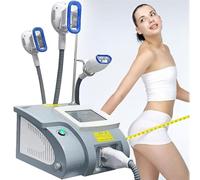 ZenSeFarin Cryolipolyse Corps De Congélation Graisses Amincissant La Machine De Lipolyse avec 3 Poignées,Masseur D'élimination La Cellulite,Gel des Graisses Corporelles pour Mise en Forme du Corps