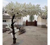 ZenSeFarin Grand Arbre De Fleurs De Cerisier Artificiel Blancs Plante De Simulation Arbre De Pêcher Blanc Arbre à Souhaits Fausse Fleur en Soie Décor De Centre Commercial,Extended-1x0.6m/3.2x1.9ft