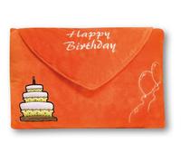 Zep 201EW Coussin d'anniversaire en forme d'enveloppe
