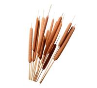 ZEPFJHE 10 pièces de Quenouilles de 50 à 60 cm de Long, de Quenouilles séchée Naturelle pour Arrangement Floral Artisanal Fait à la Main, décoration de Mariage, Fleurs en Soie réalistes