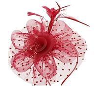 ZEPFJHE Bandeau élégant à plumes avec chapeau en maille pour un look élégant et vintage pour soirée, bal de fin d'année, accessoire pour cheveux confortable