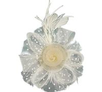 ZEPFJHE Bandeau élégant à plumes avec chapeau en maille pour un look élégant et vintage pour soirée, bal de fin d'année, événement, etc