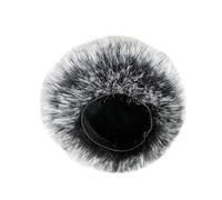 ZEPFJHE Filtre micro pour pare-brise extérieur en mousse pour enregistreur portable H4essential - Accessoire transparent