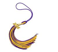 ZEPFJHE Glands de chapeau de de diplôme 2025 pour les célébrations académiques, décorations pratiques de fête de de diplôme en polyester pour la décoration de chapeau de doctorat d ' étudiant